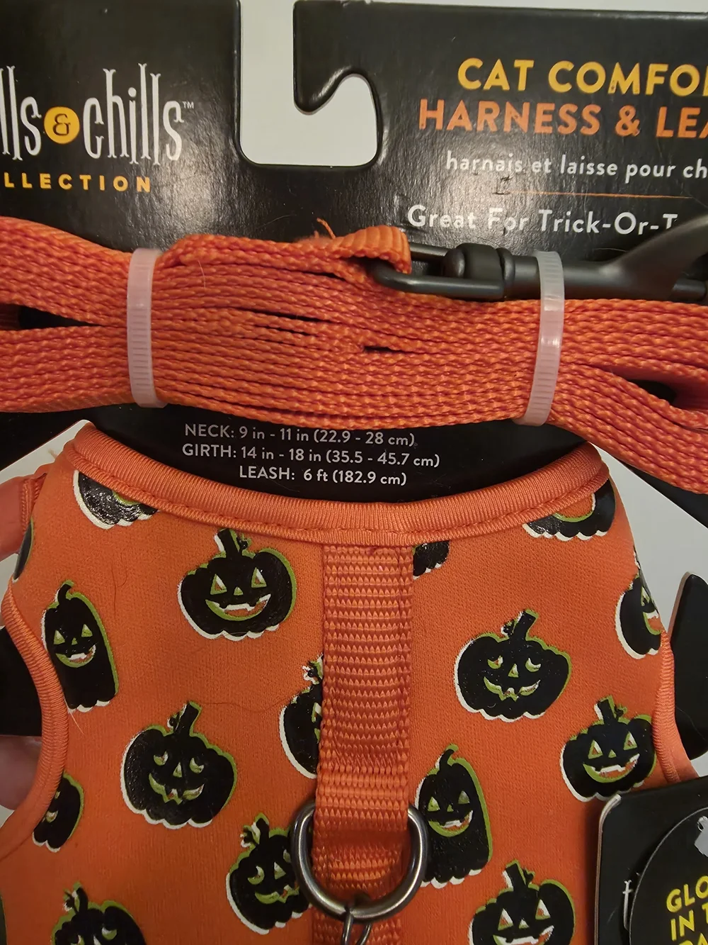 Thrills festive pumpkin
